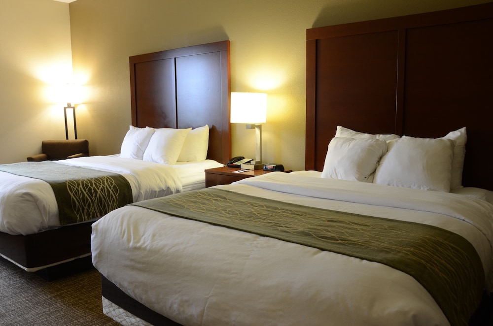 Suite, Multiple Beds, Accessible, Non Smoking photo 3