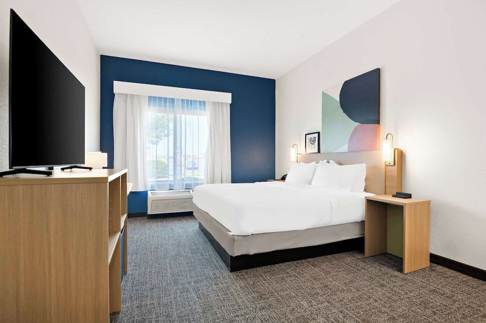 Room, 1 King Bed, Accessible (Mobility, Roll-In Shower) - Photo 1