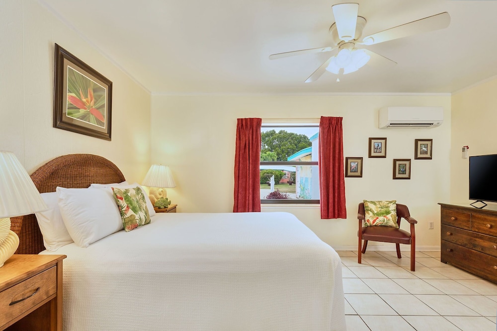 Classic Room, 1 Queen Bed, Pool View