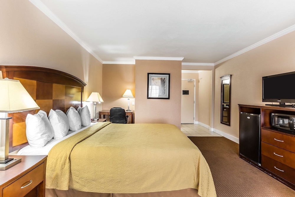 Standard Room, 1 King Bed with Sofa bed, Non Smoking photo 2