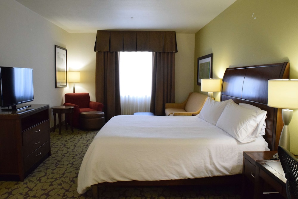 Room, 1 King Bed with Sofa bed (Larger Room)