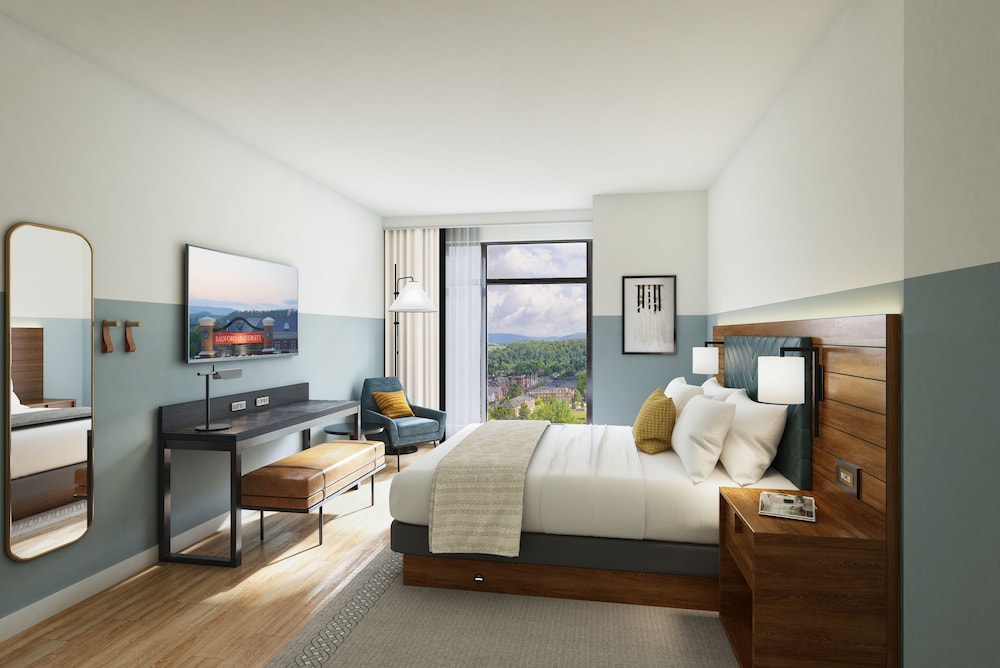 Room, 1 King Bed (Blue Ridge View) photo 1