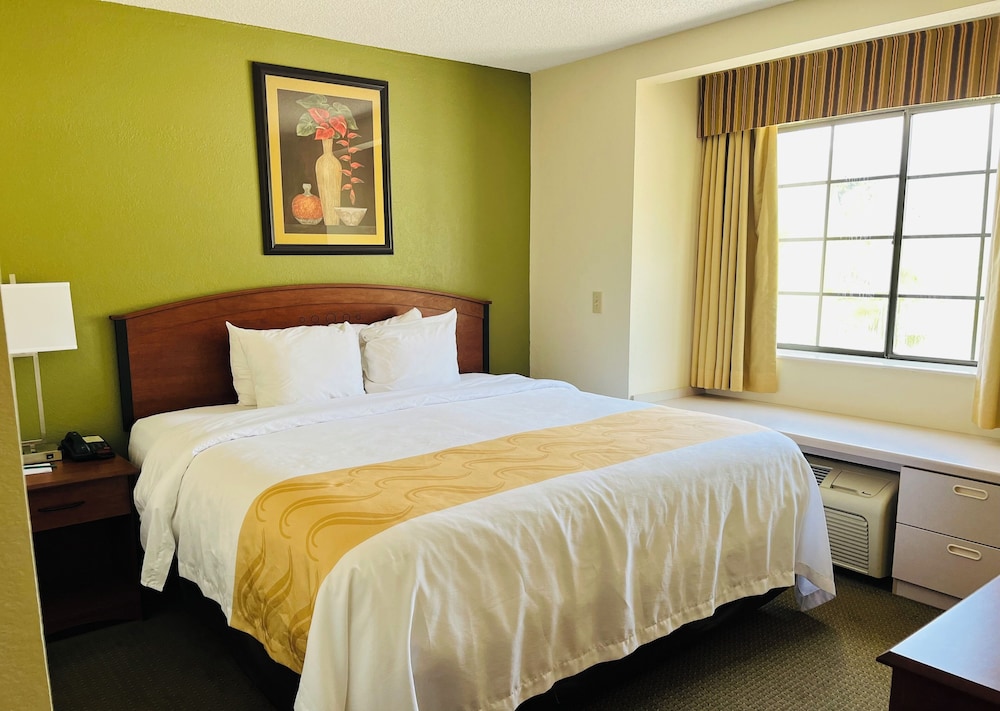 Standard Room, 1 King Bed with Sofa bed, Smoking photo 1