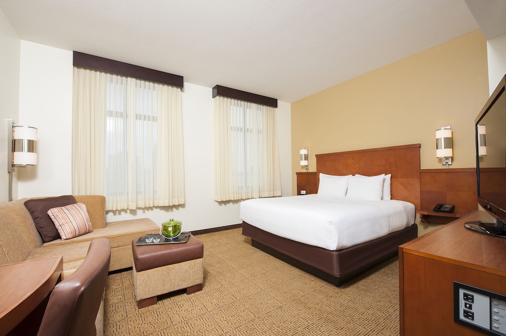 Room, 1 King Bed, Accessible (With Sofa bed, Shower/Tub) - Photo 1