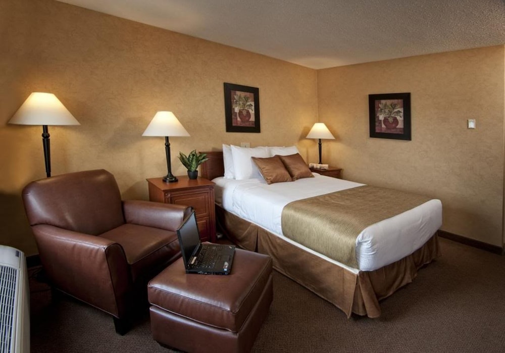 Signature Room, 1 King Bed