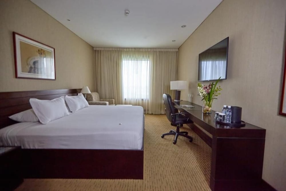 Single Room photo 1