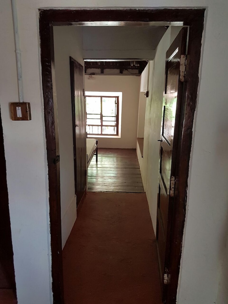 Economy Room photo 2