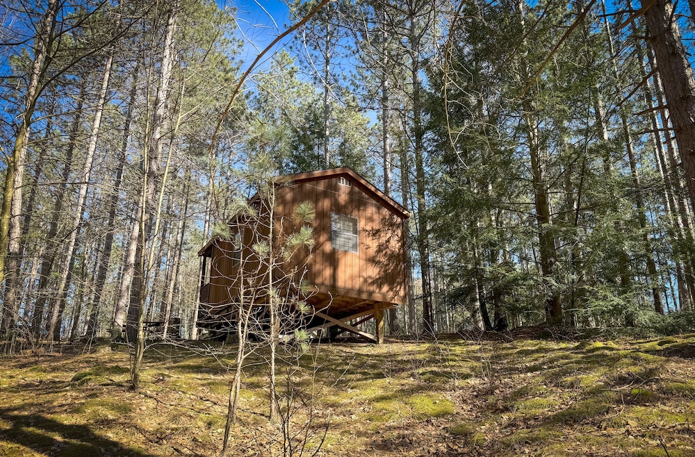 Senior Cabin photo 3