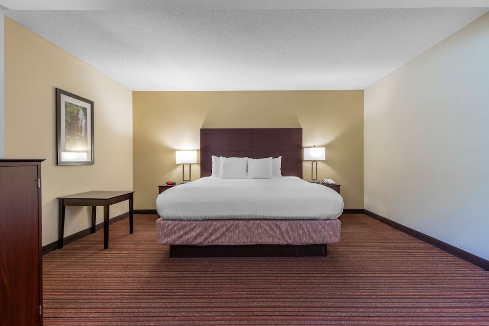 Suite, 1 King Bed, Non Smoking, Microwave (with Sofabed) photo 1