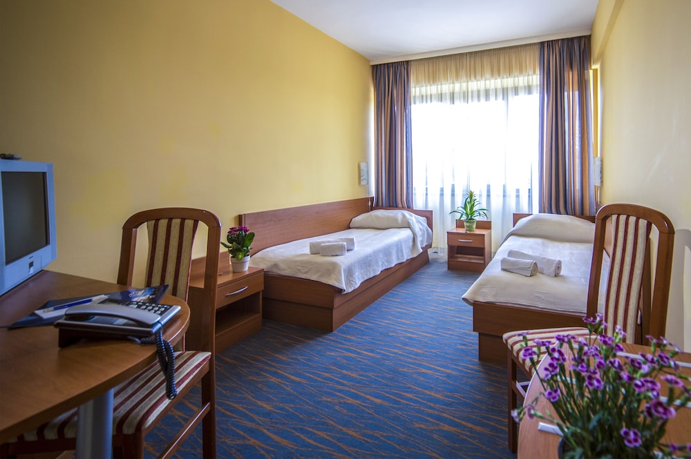 Classic Room, 2 Twin Beds, Park View photo 2