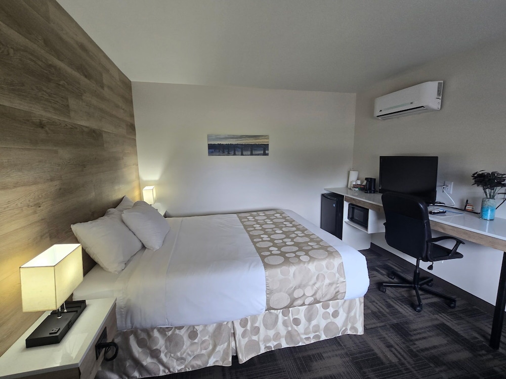 Comfort Single Room, 1 Queen Bed photo 2