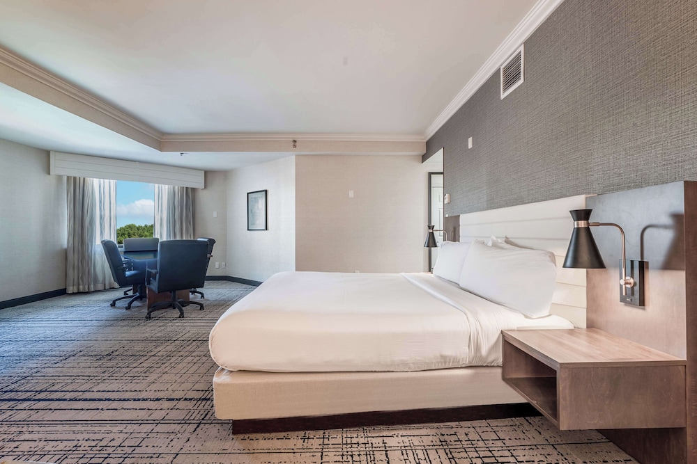 Junior Suite, 1 King Bed photo 1