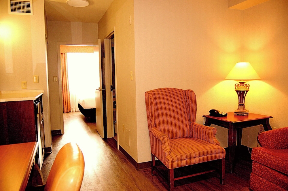 Suite, 1 King Bed with Sofa bed