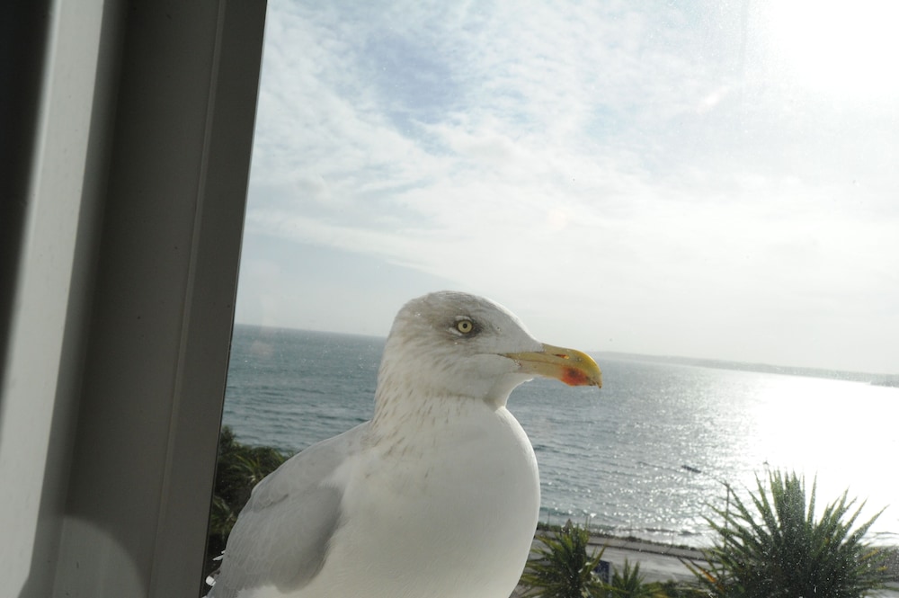Superior Double Room, Ensuite, Sea View (with bath or shower) - Photo 17