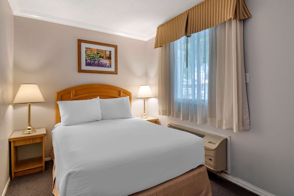 Suite, 1 Queen Bed, Non Smoking, Kitchen (with Sofabed) photo 1