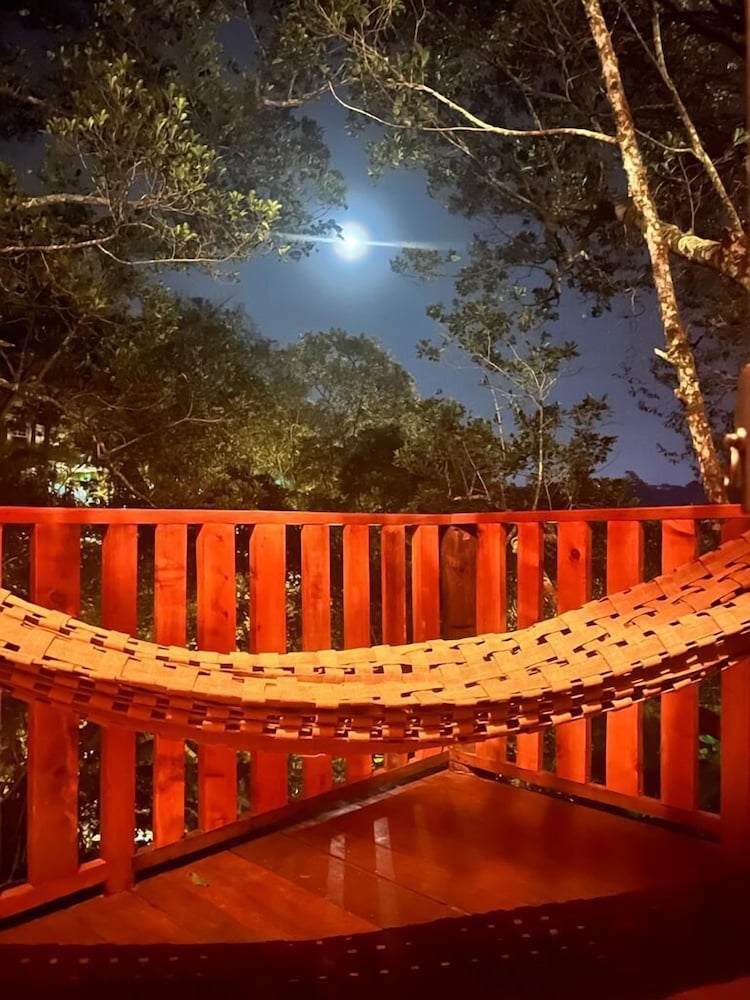 Tree House photo 2