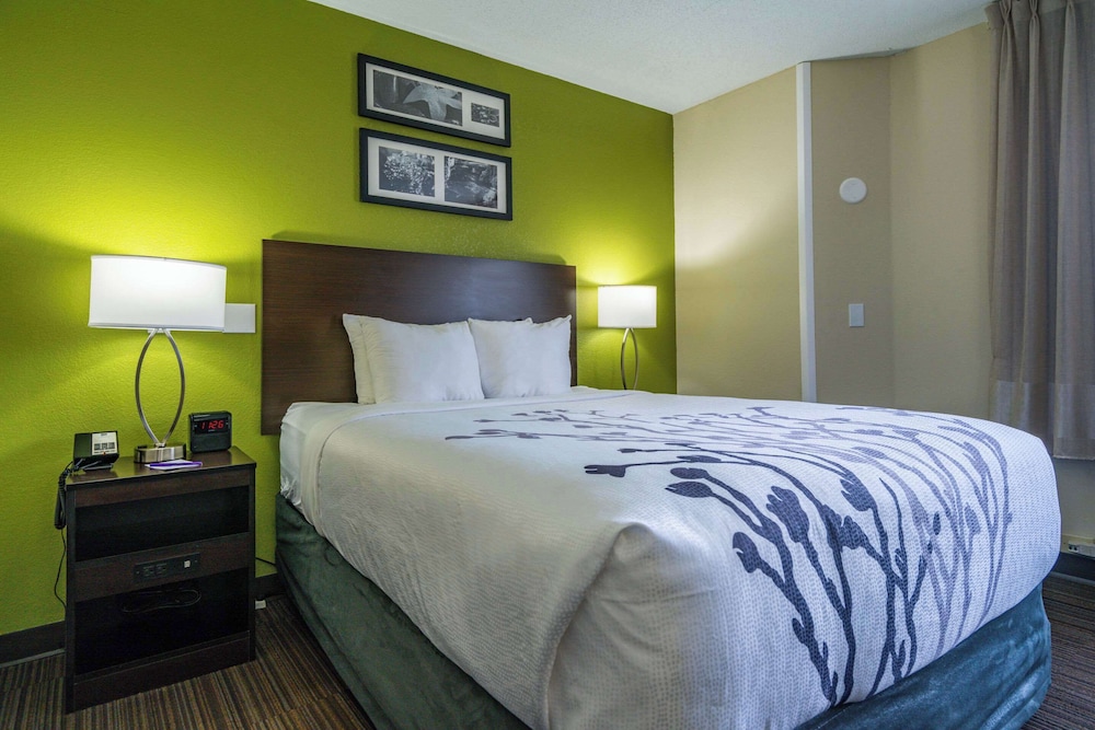Room, 1 Queen Bed, Accessible, Non Smoking (Roll-In Shower) - Photo 1