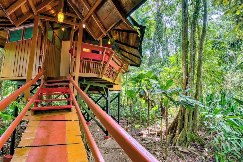 Exclusive Tree House, 2 Bedrooms, Hot Tub, Garden View photo 3