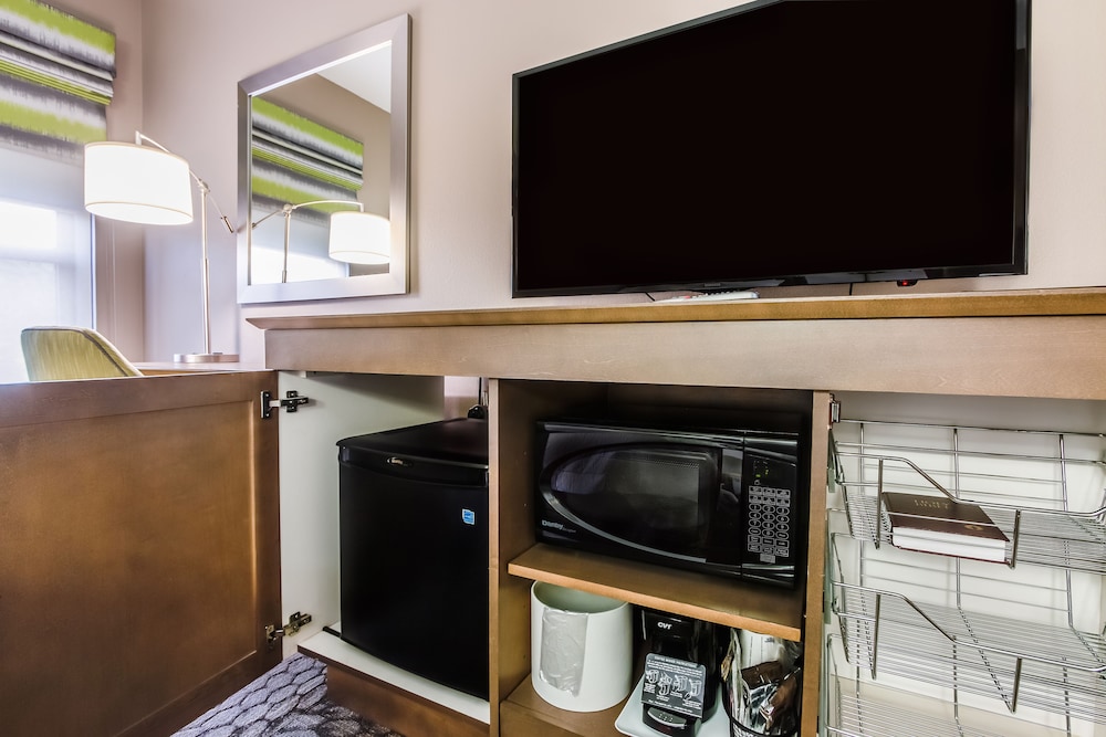 Room, 1 King Bed, Accessible - Photo 6
