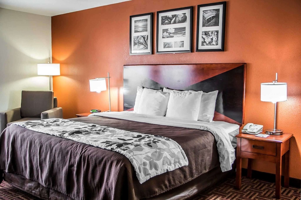 Standard Room, 1 King Bed, Non Smoking - Photo 6