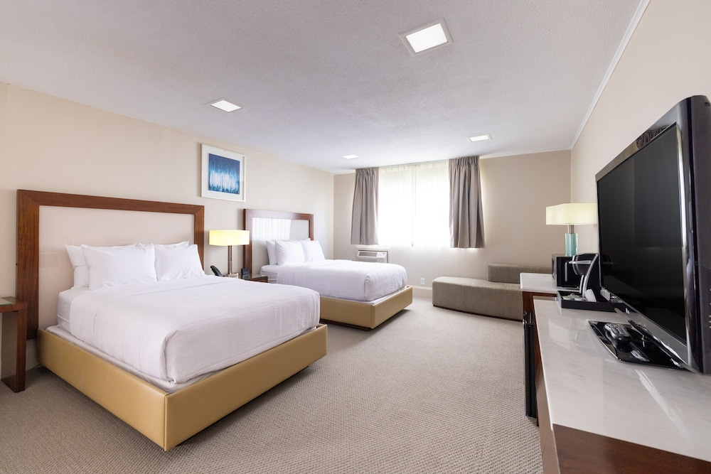 2 Double Bed Efficiency Suite photo 2
