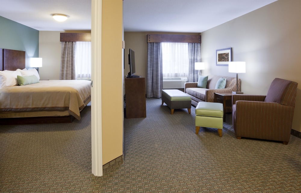 Suite, 1 King Bed (Extended Stay) photo 1