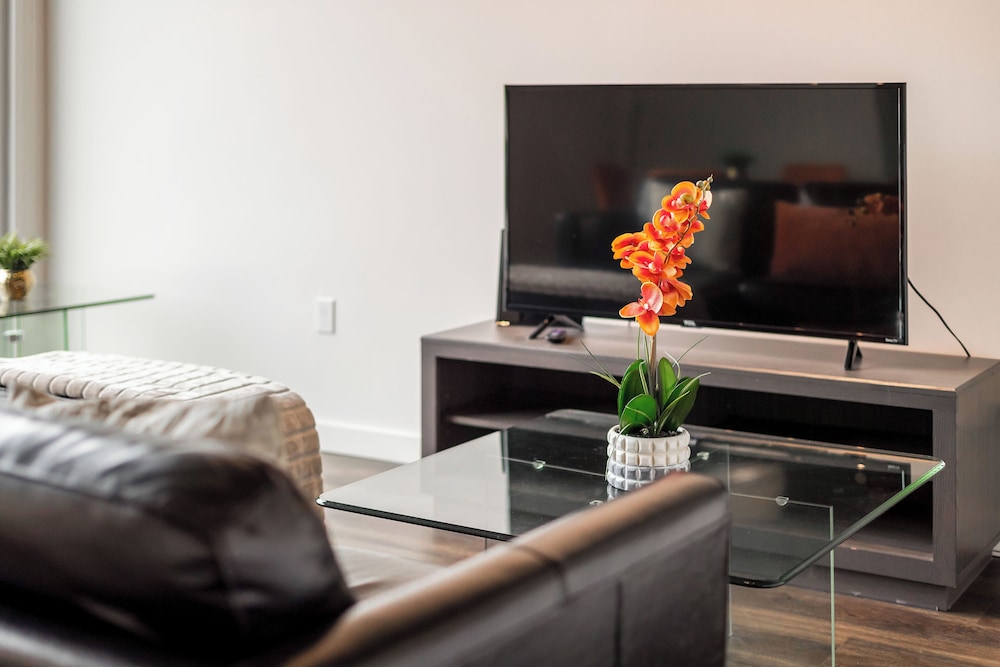 Premier Studio (Premium)