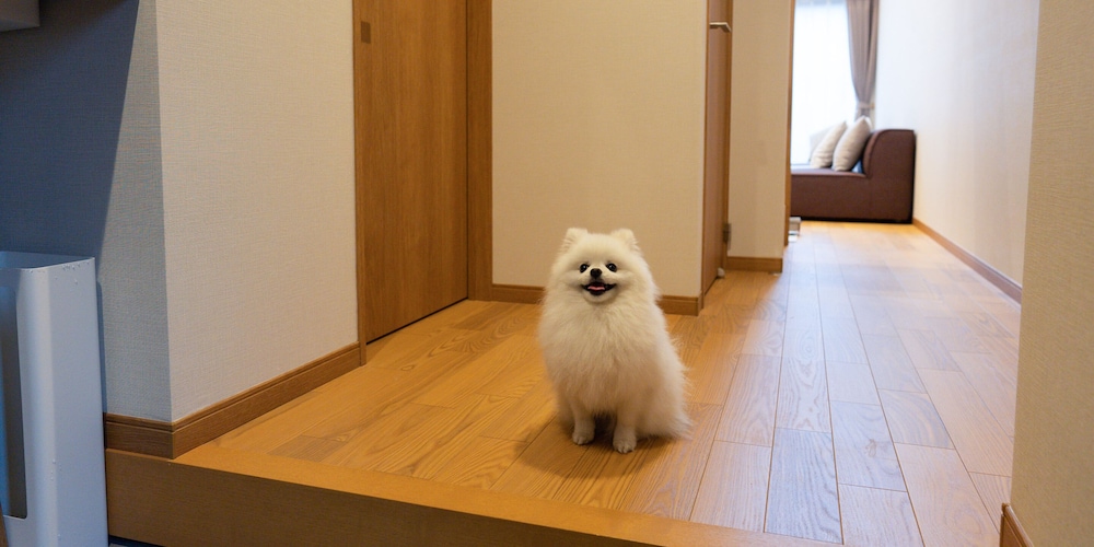 Rakuten STAY VILLA Yatsugatake 103-[Dog-friendly]Family Room, Non Smoking - Photo 20