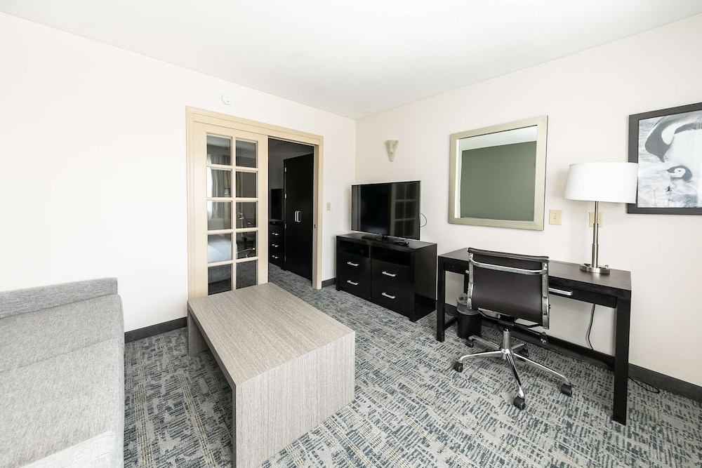 Suite, 1 King Bed, Non Smoking (Living Room) - Photo 3