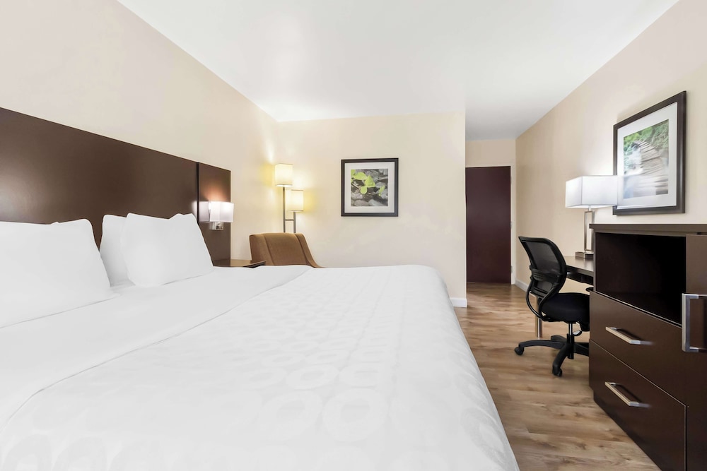 Standard Room, 1 King Bed, Accessible, Non Smoking - Photo 3
