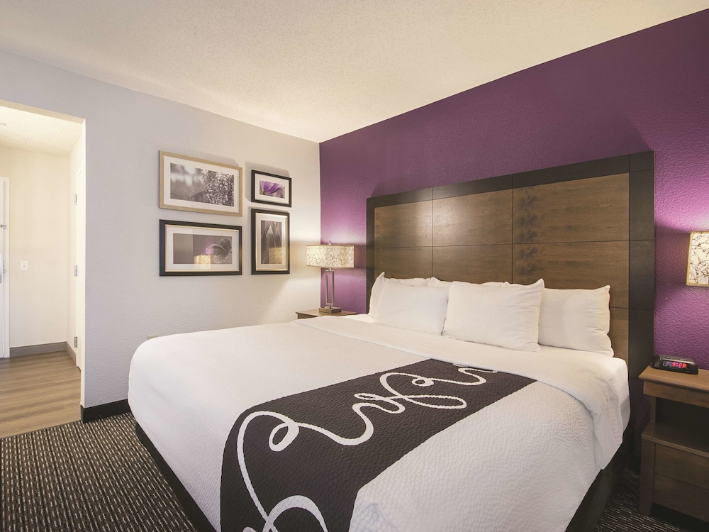 Deluxe Suite, 1 King Bed with Sofa bed, Non Smoking (2 Room) - Photo 3