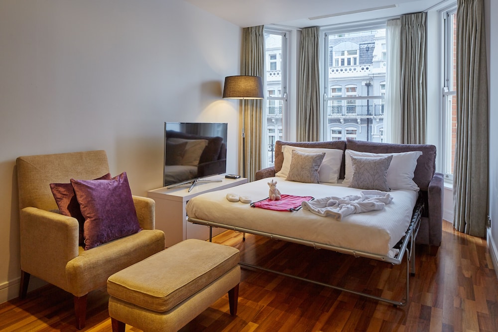 Luxury One Bedroom Apartment with Sofa Bed photo 2