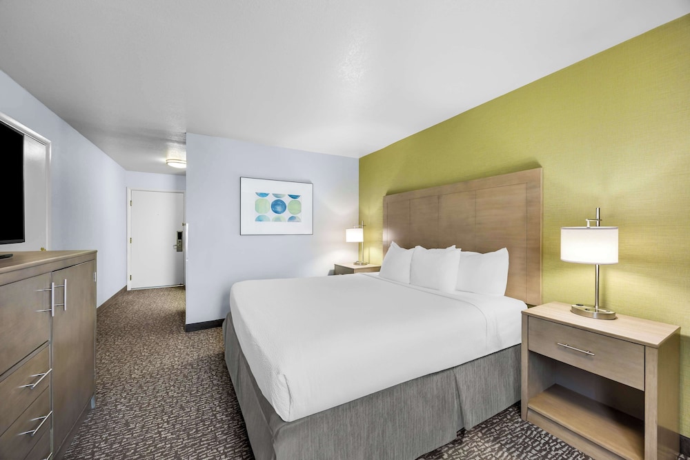 Standard Room, 1 King Bed, Non Smoking, Refrigerator & Microwave - Photo 1