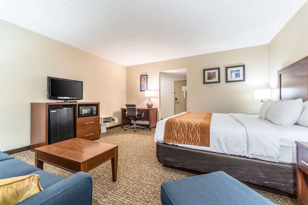 Suite, 1 King Bed with Sofa bed, Non Smoking - Photo 2