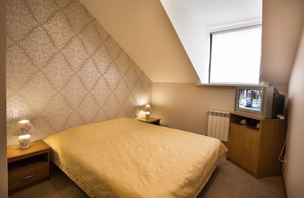 Business Double Room, 1 Double Bed photo 2