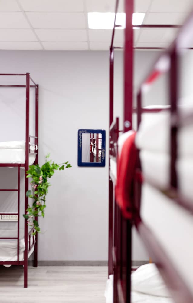 Shared Dormitory, Mixed Dorm (10 beds)
