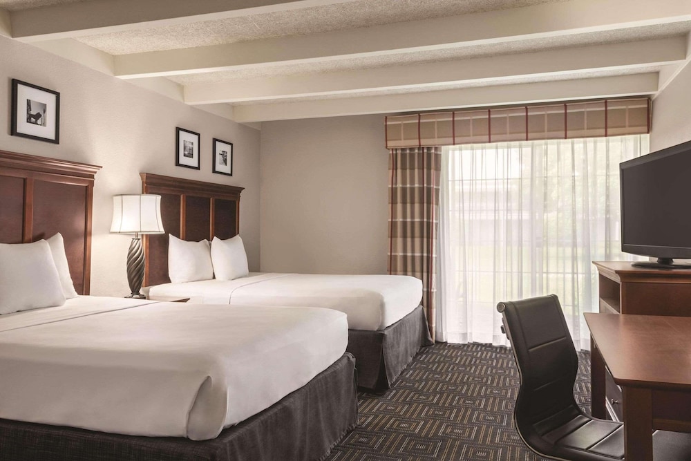 Suite, Multiple Beds, Non Smoking (Efficiency, Upgrade) - Photo 3