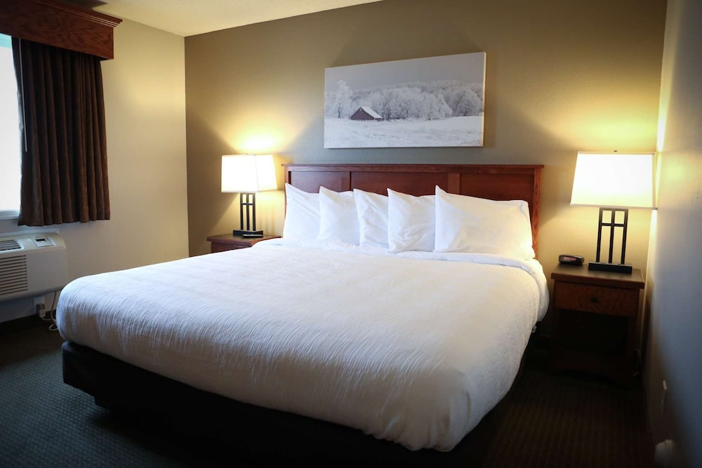 Executive Room, 1 King Bed photo 1