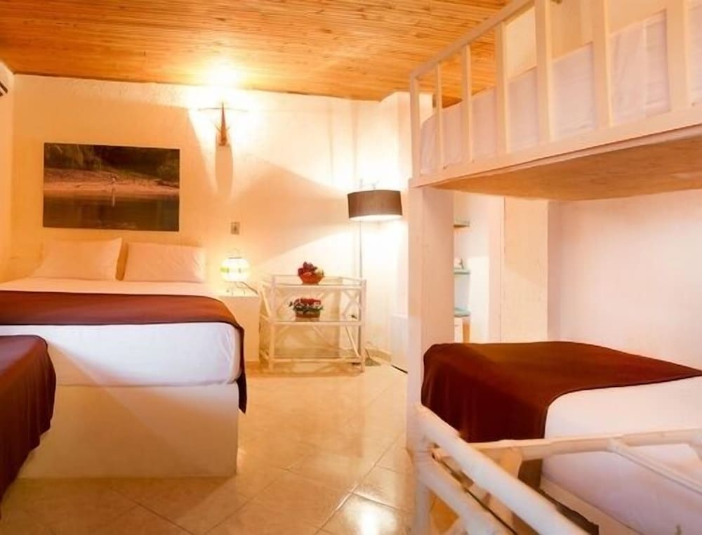 Twin Room photo 3