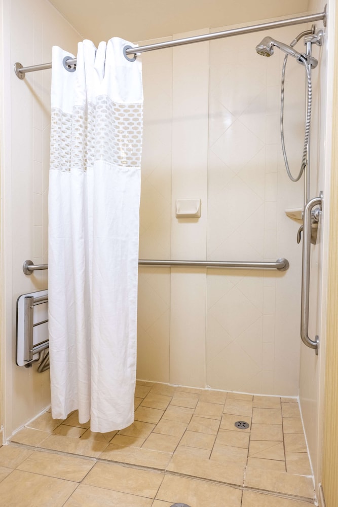 Suite, 1 King Bed, Accessible (Roll-In Shower) - Photo 4