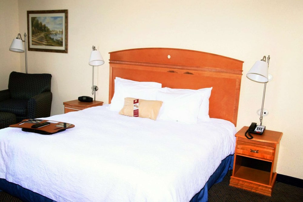 Room, 1 King Bed, Accessible - Photo 2