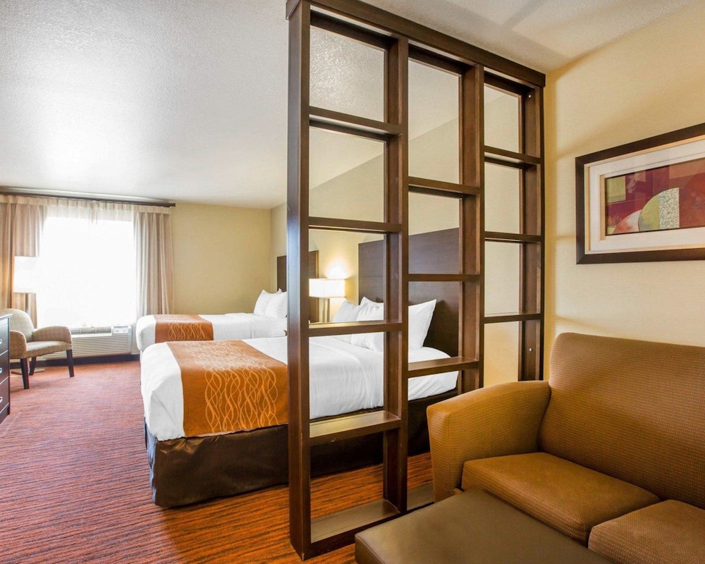 Suite - Photo 3