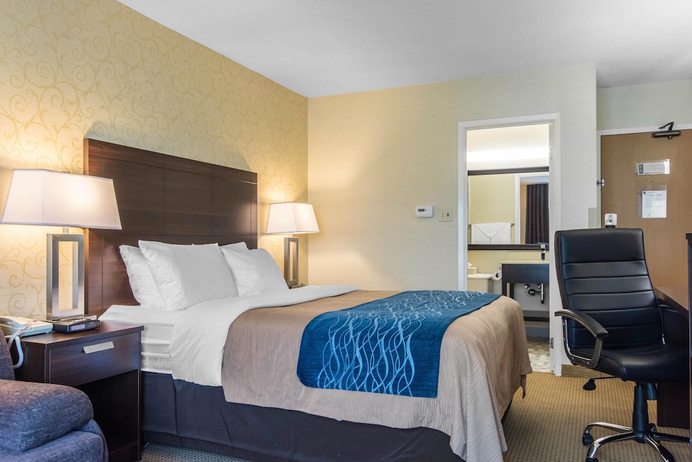 Comfort Care, Standard Room, 1 Queen Bed with Sofa bed, Non Smoking photo 2