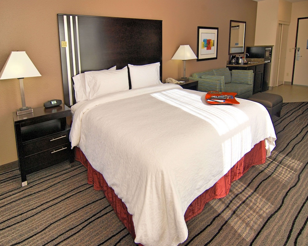 Studio Suite, 1 King Bed with Sofa bed - Photo 3
