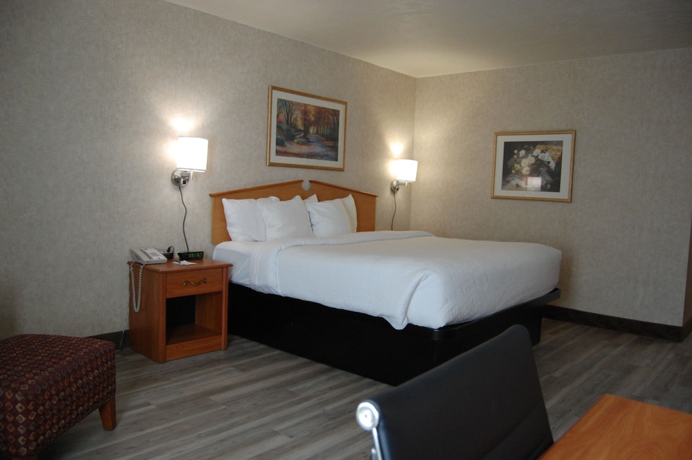 Suite, 1 King Bed with Sofa bed, Accessible, Non Smoking - Photo 3