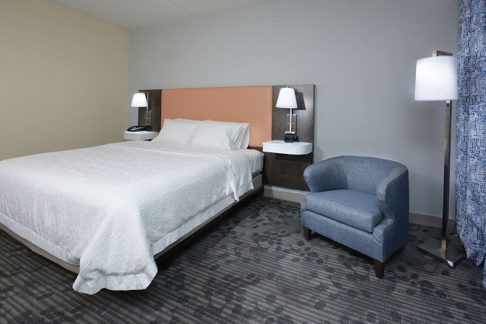 Room, 1 King Bed, Accessible, Non Smoking (Mobility, Bathtub) - Photo 1