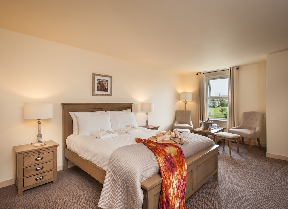 Deluxe Double Room, 1 King Bed photo 3