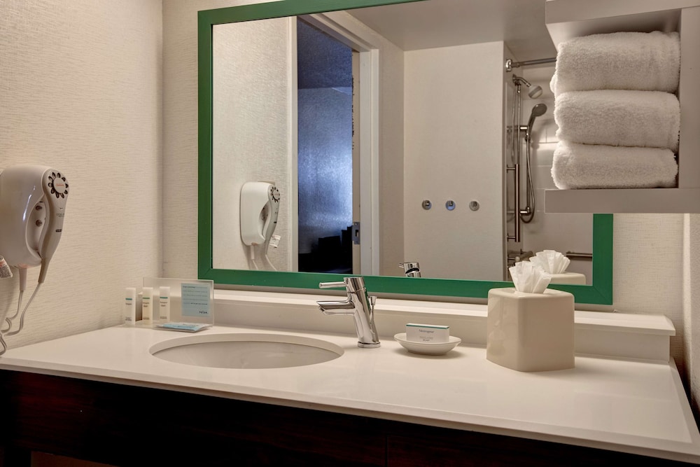 Room, 1 King Bed, Accessible, Refrigerator & Microwave (Bathtub) - Photo 4