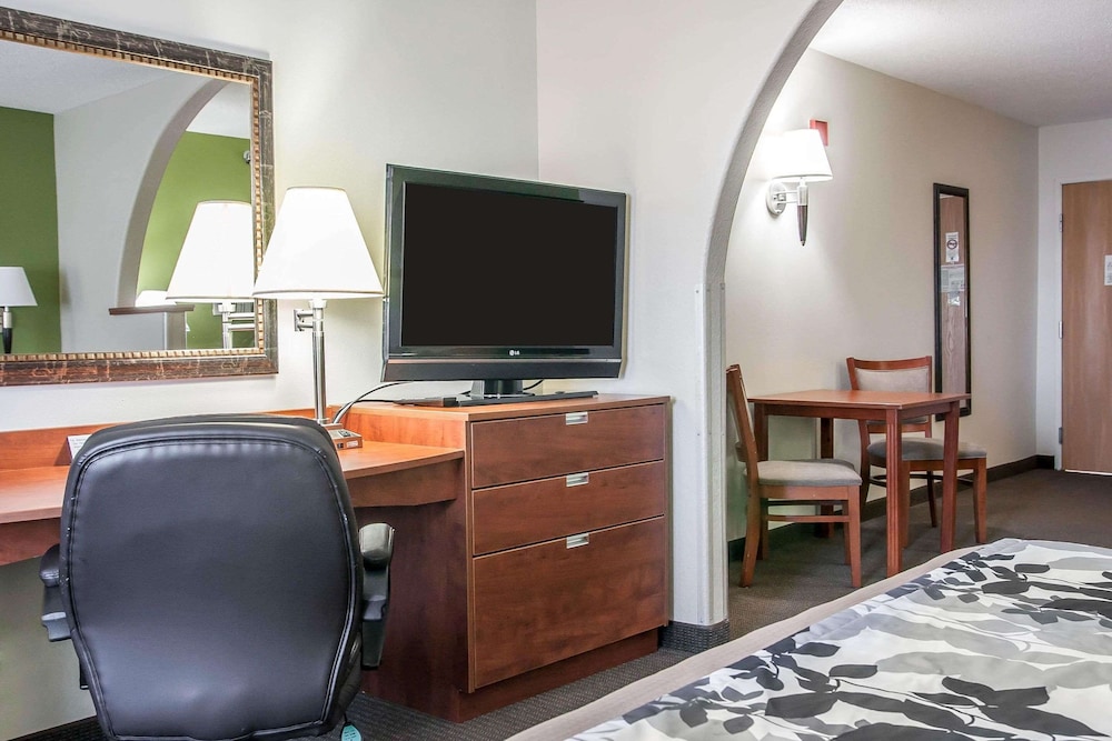 Suite, 1 King Bed with Sofa bed, Non Smoking photo 3