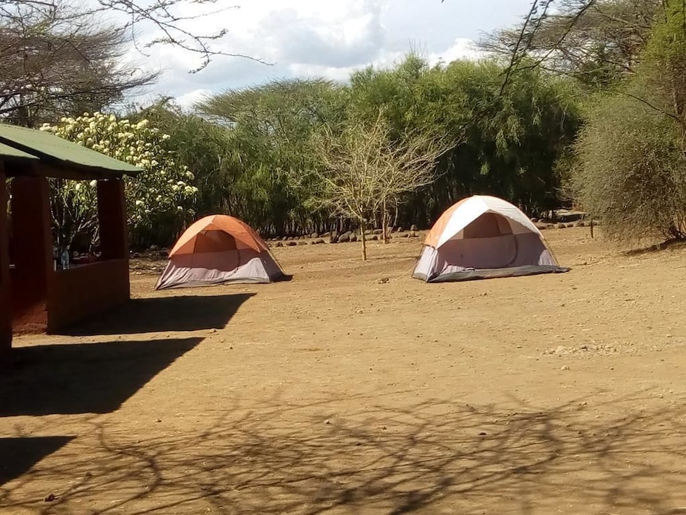 Tent, 2 Twin Beds photo 2